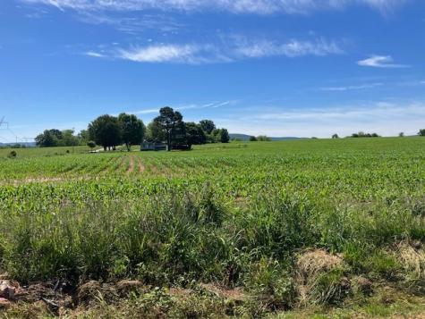 0 Wilder Road Hillsboro TN 37342