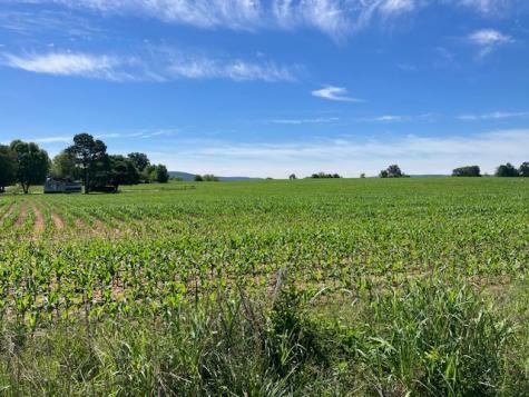 0 Wilder Road Hillsboro TN 37342
