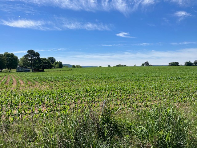 0 Wilder Road Hillsboro TN 37342