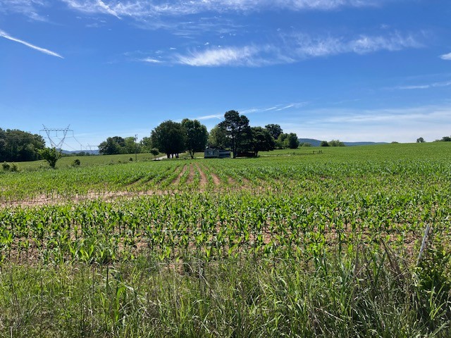 0 Wilder Road Hillsboro TN 37342
