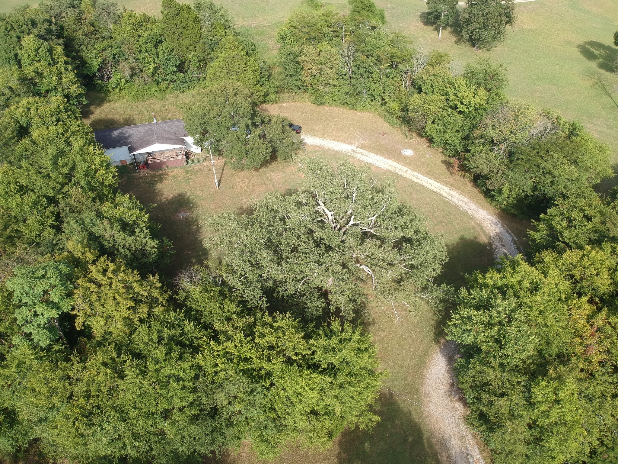 225 Opossum Hollow Road Watertown TN 37184