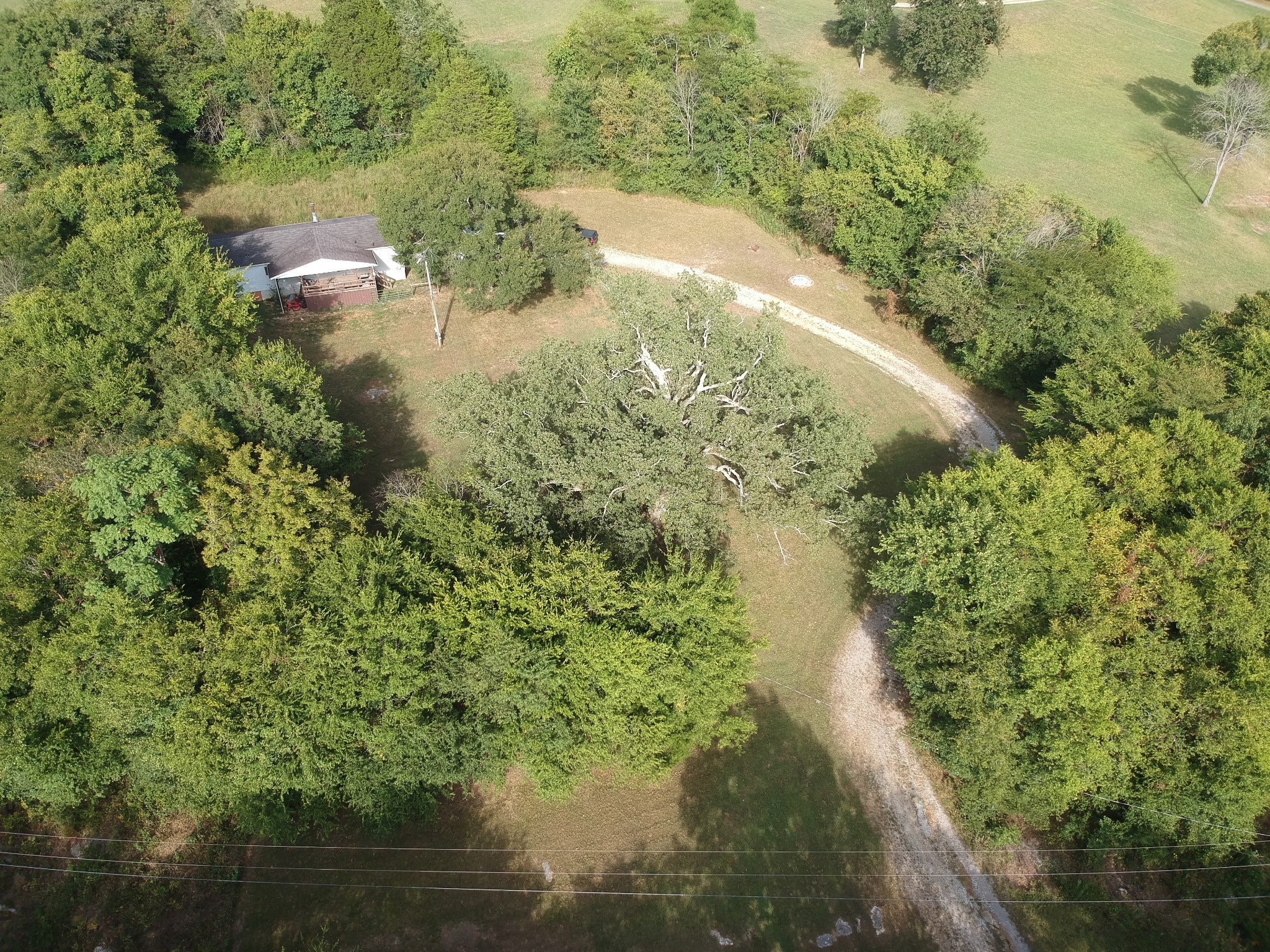225 Opossum Hollow Road Watertown TN 37184