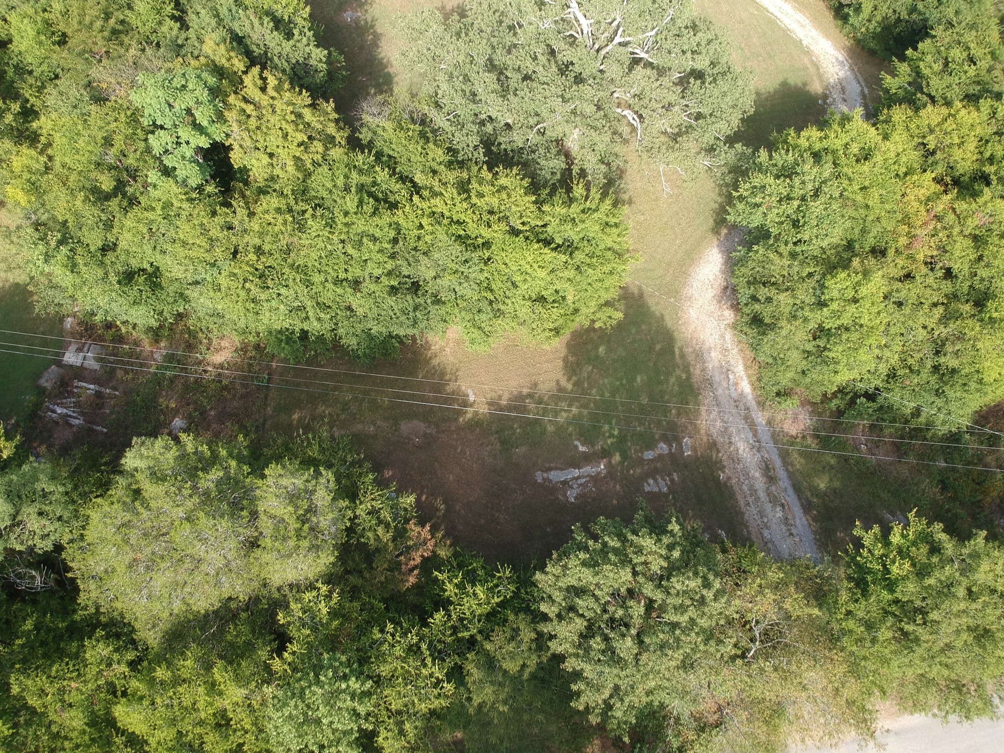 225 Opossum Hollow Road Watertown TN 37184