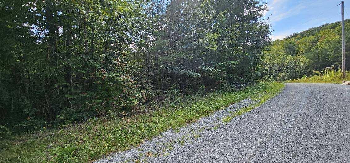 13 Bear Wallow Road Dunlap TN 37327