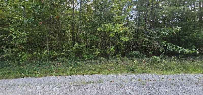 13 Bear Wallow Road Dunlap TN 37327