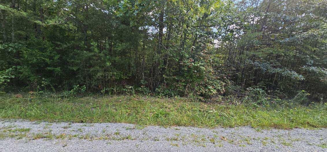 13 Bear Wallow Road Dunlap TN 37327