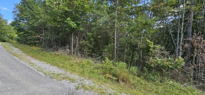 13 Bear Wallow Road Dunlap TN 37327