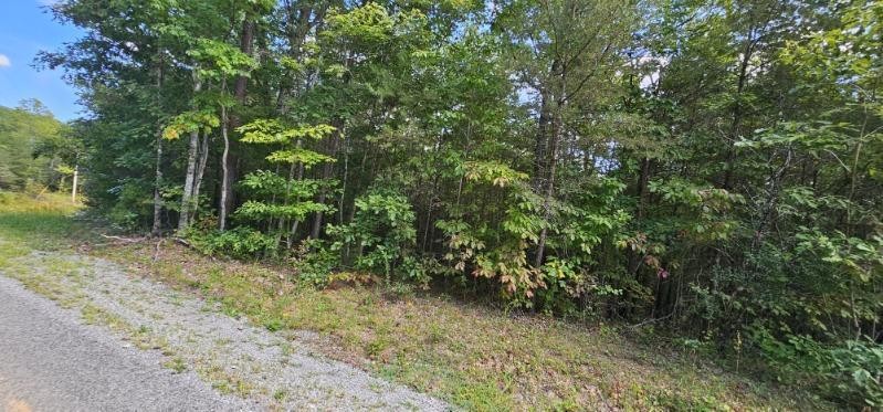 13 Bear Wallow Road Dunlap TN 37327