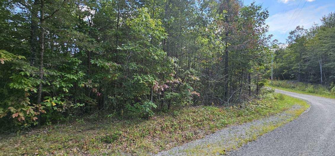 13 Bear Wallow Road Dunlap TN 37327