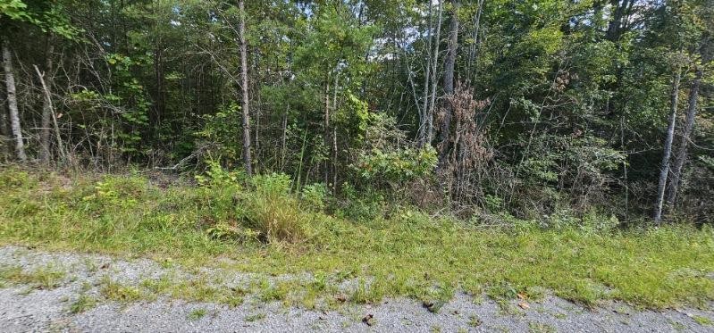 13 Bear Wallow Road Dunlap TN 37327