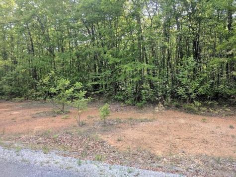 0 Deer Run Road Altamont TN 37301