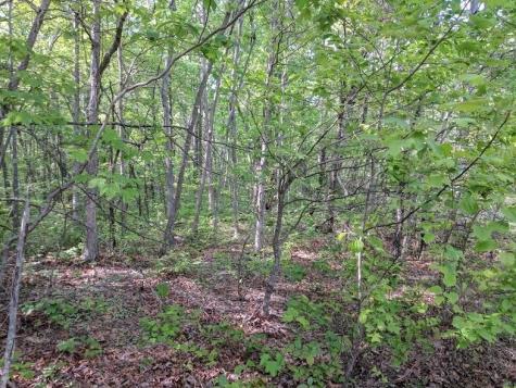 0 Deer Run Road Altamont TN 37301