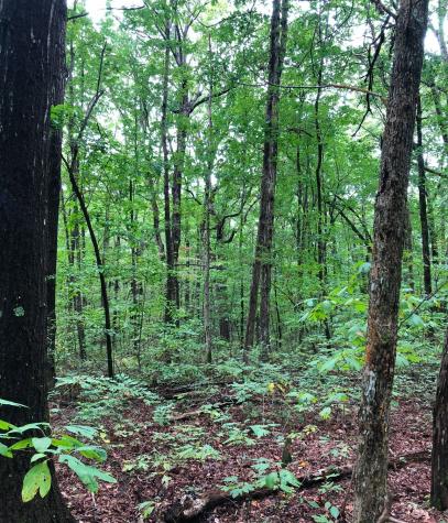 0 Deer Run Road Altamont TN 37301