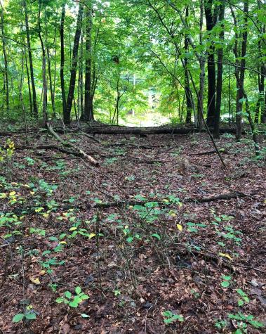 0 Deer Run Road Altamont TN 37301