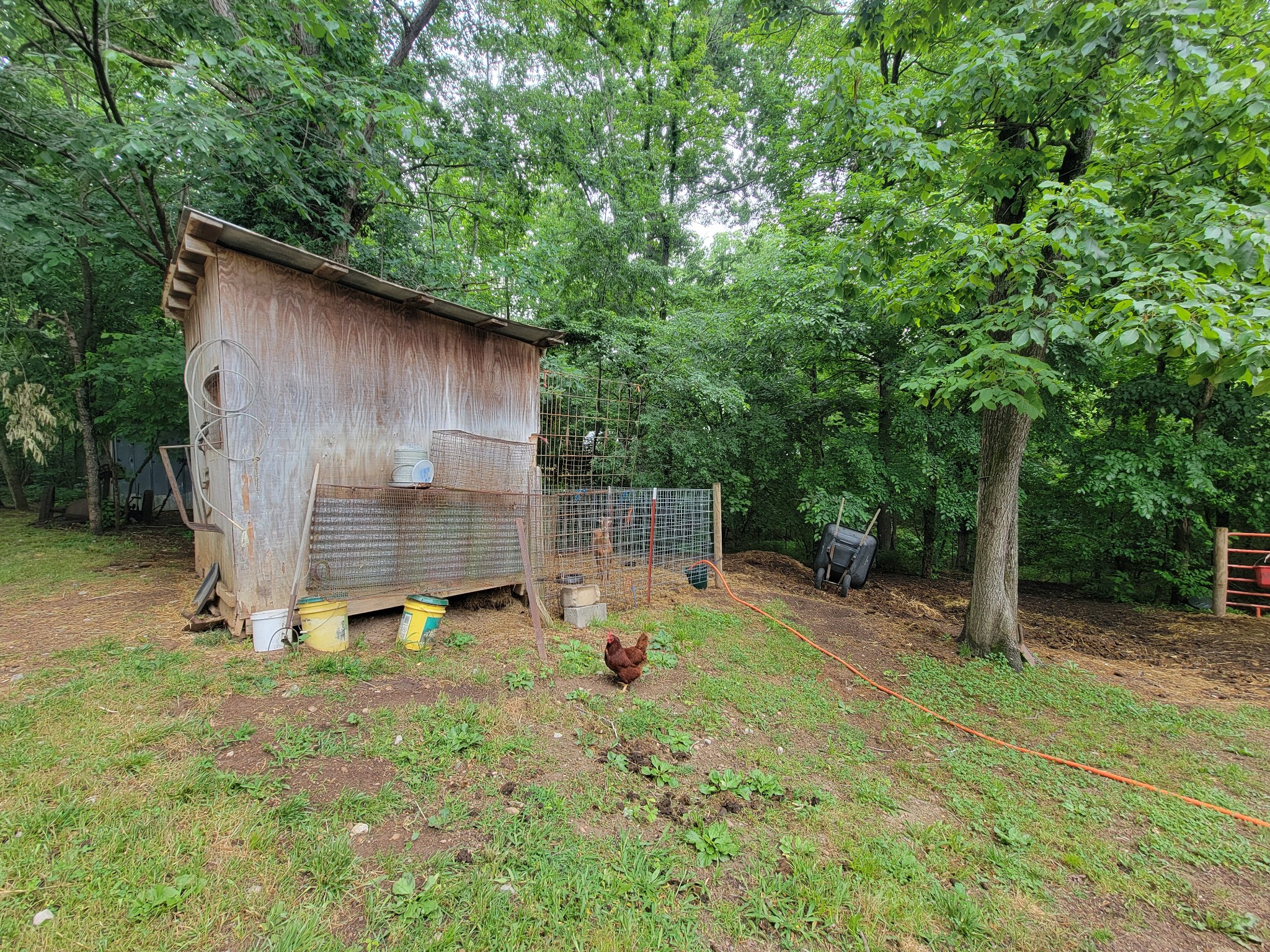 1089 Jim Clark Road Erin TN 37061