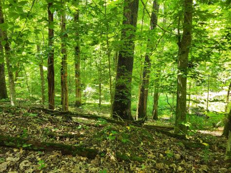 0 Indian Creek Road Dover TN 37058