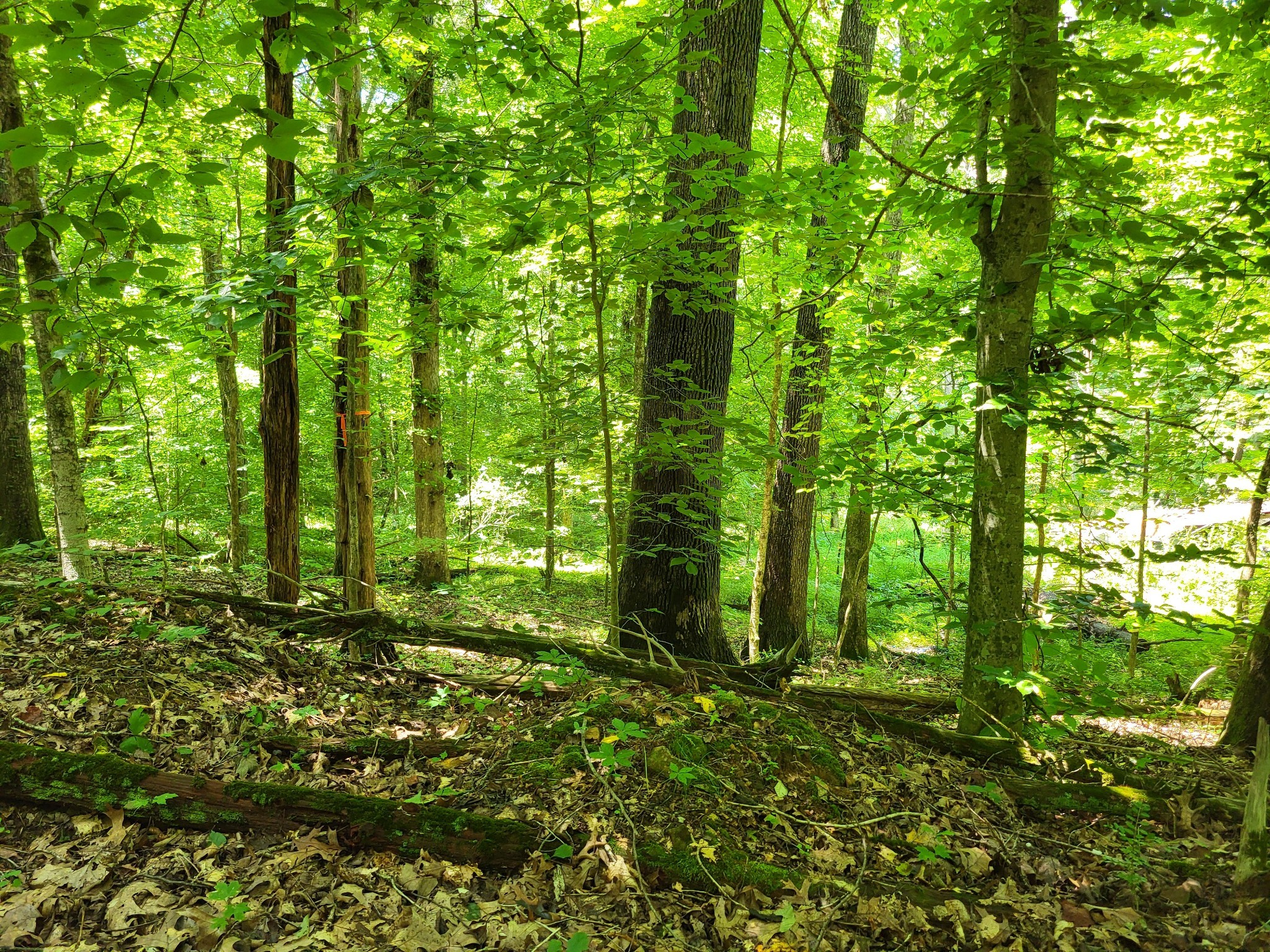 0 Indian Creek Road Dover TN 37058