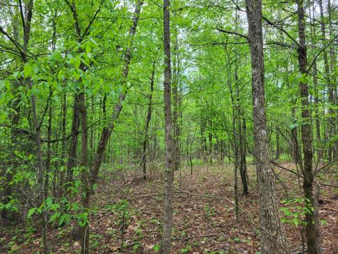 0 Indian Creek Road Dover TN 37058