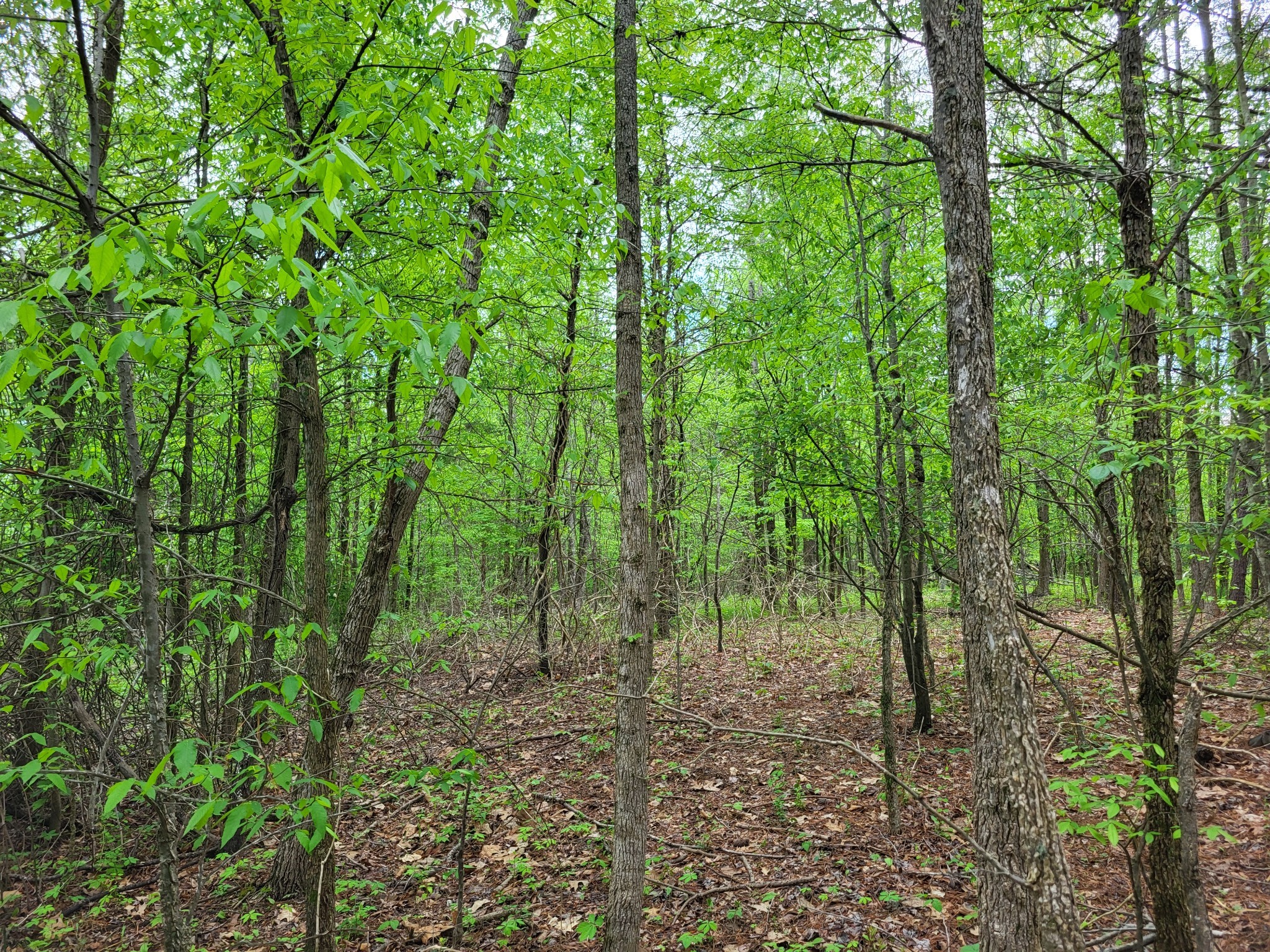 0 Indian Creek Road Dover TN 37058