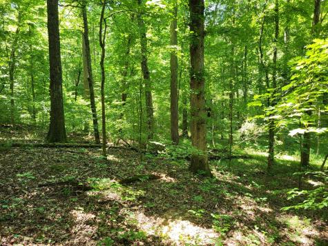 0 Indian Creek Road Dover TN 37058