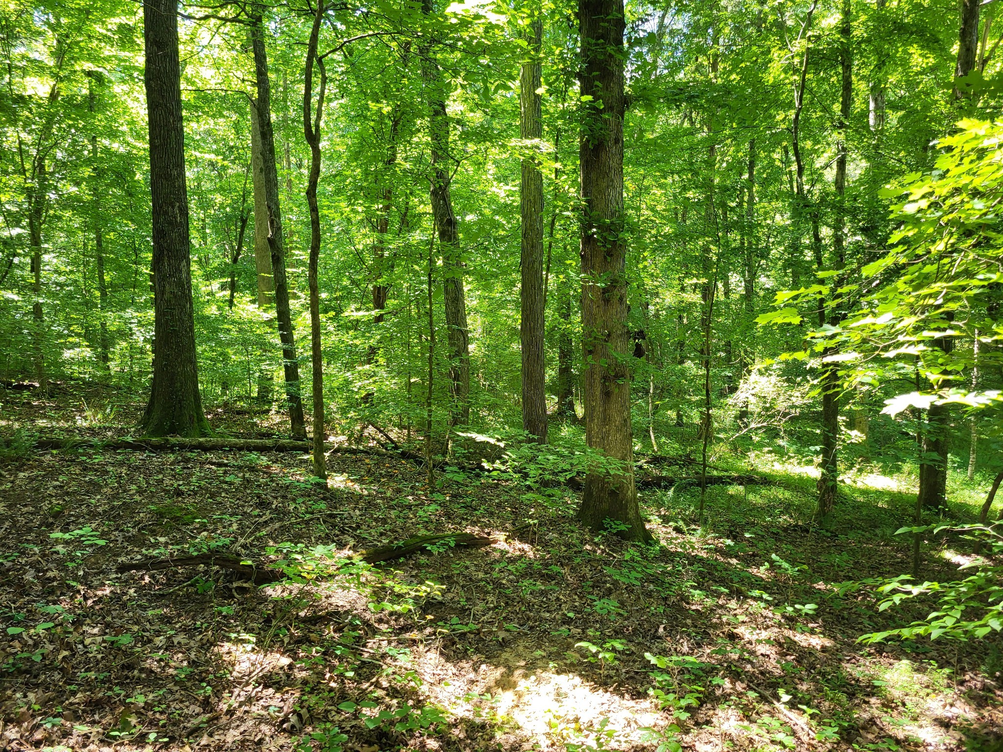 0 Indian Creek Road Dover TN 37058