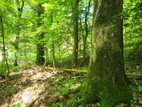 0 Indian Creek Road Dover TN 37058