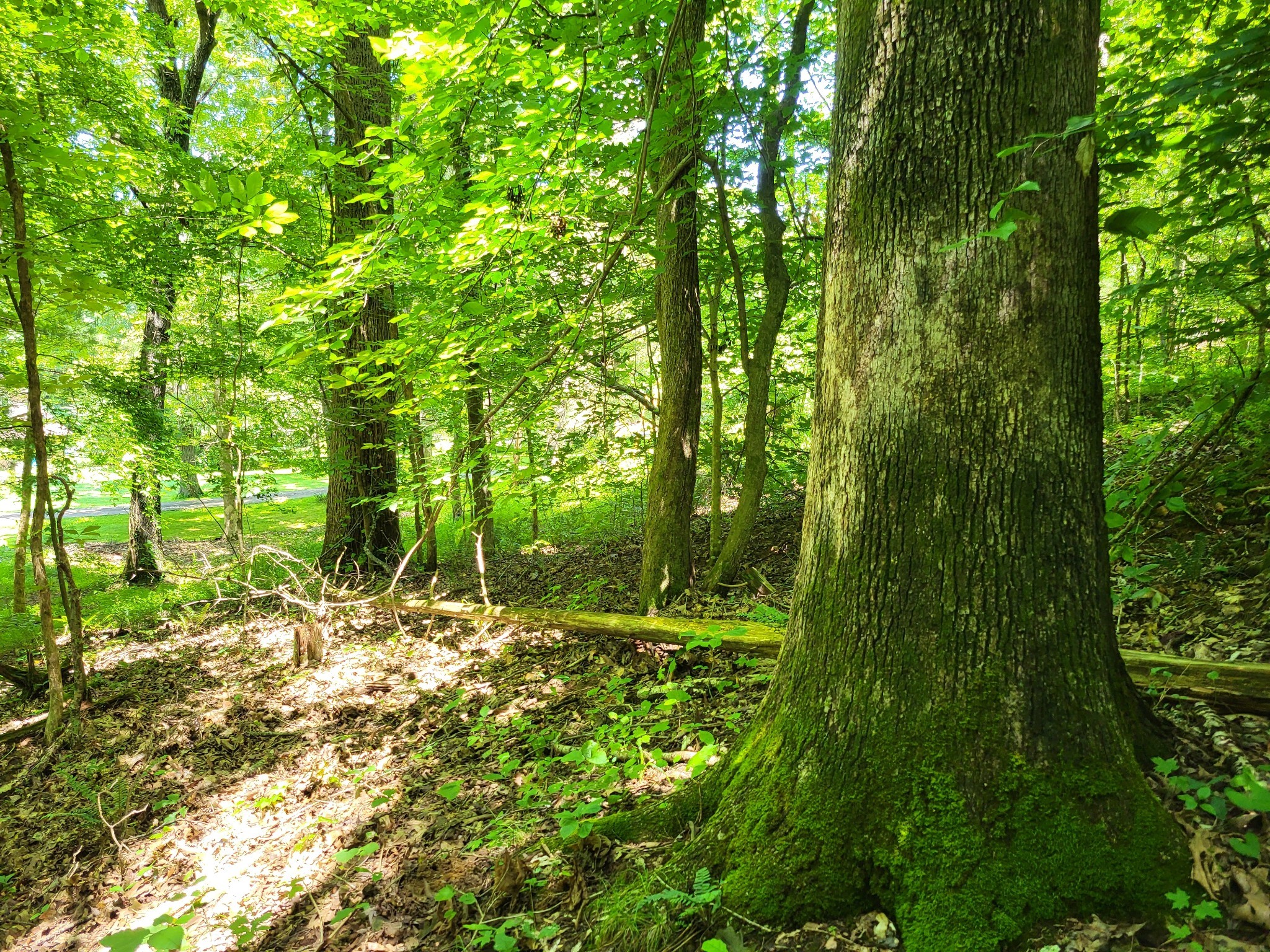 0 Indian Creek Road Dover TN 37058