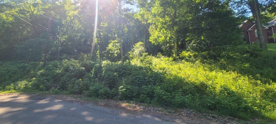 4180 Creek Trail Drive Whites Creek TN 37189