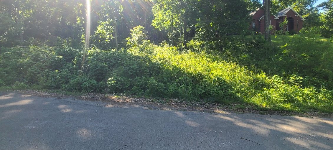 4180 Creek Trail Drive Whites Creek TN 37189
