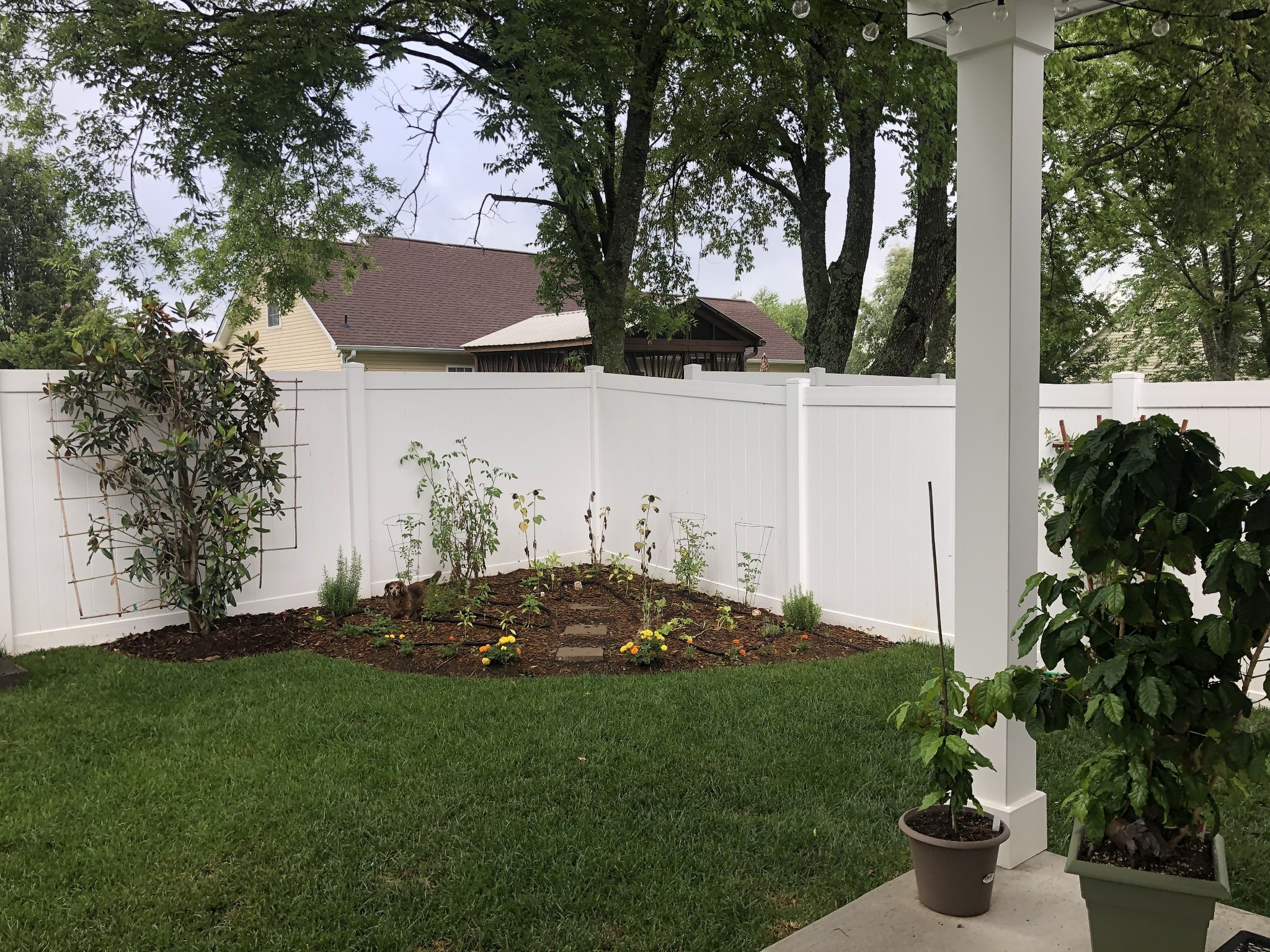 5358 Pointer Place Murfreesboro TN 37129