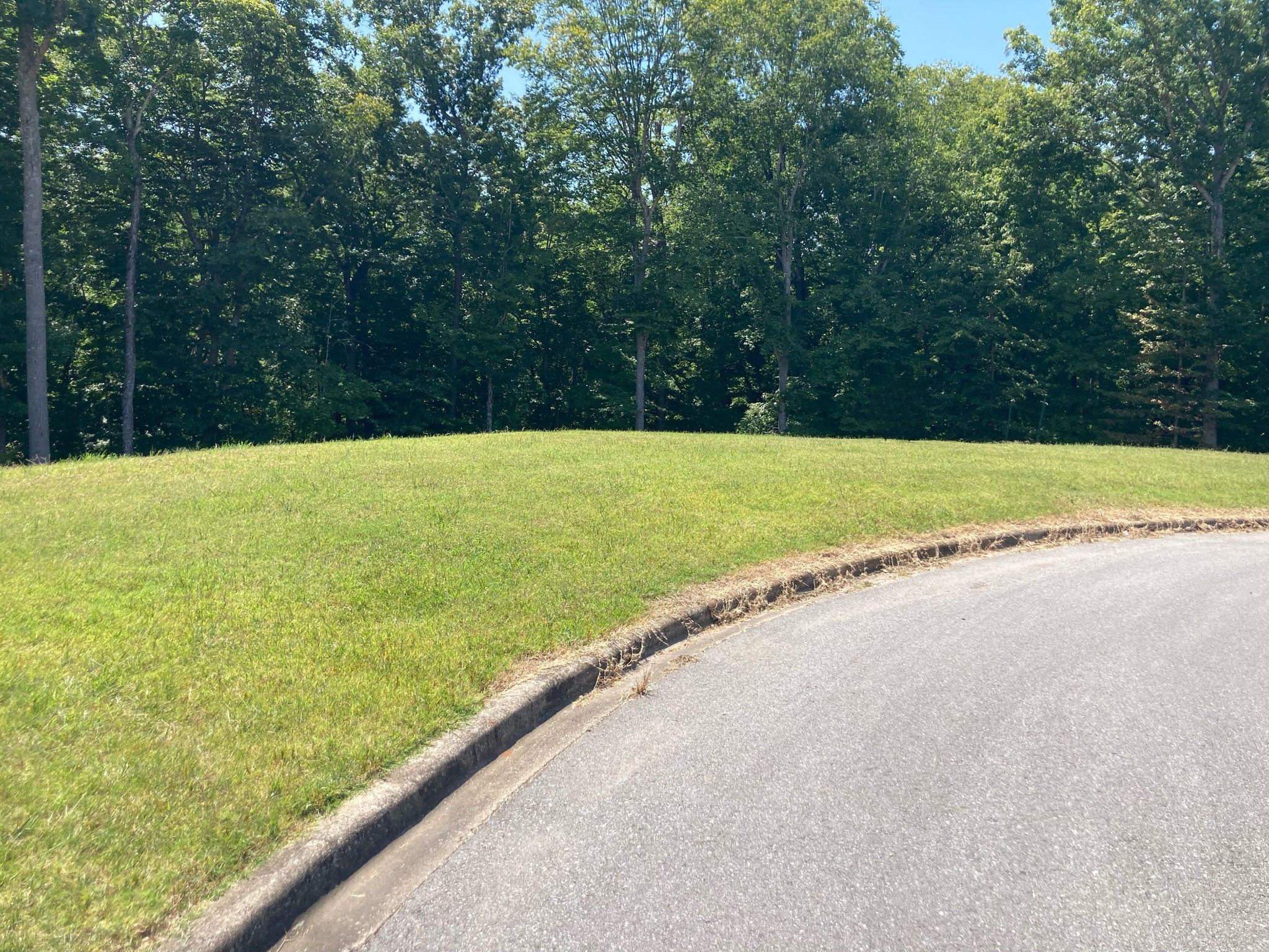 168 Steeple Ridge Way Clarksville TN 37043