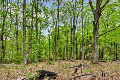 0 Waters Edge Lane Bumpus Mills TN 37028