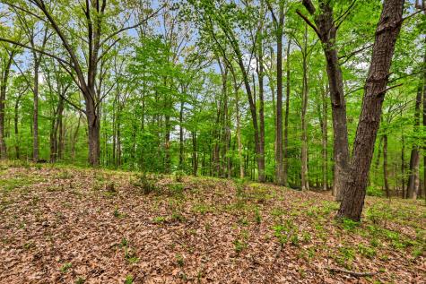 0 Waters Edge Lane Bumpus Mills TN 37028
