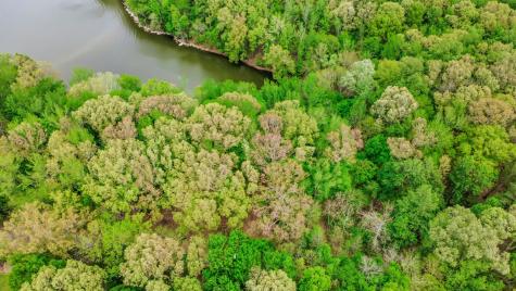 0 Waters Edge Lane Bumpus Mills TN 37028