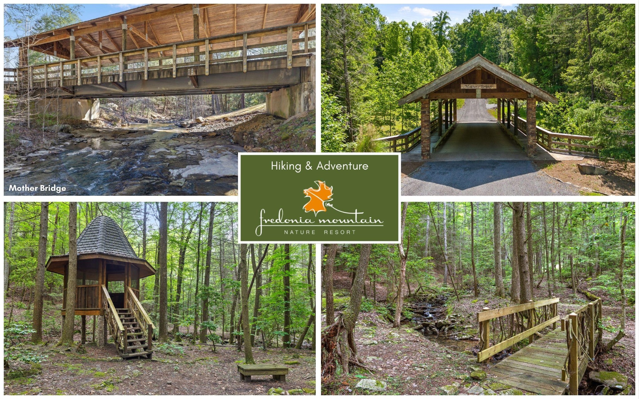 0 Fredonia Drive Dunlap TN 37327