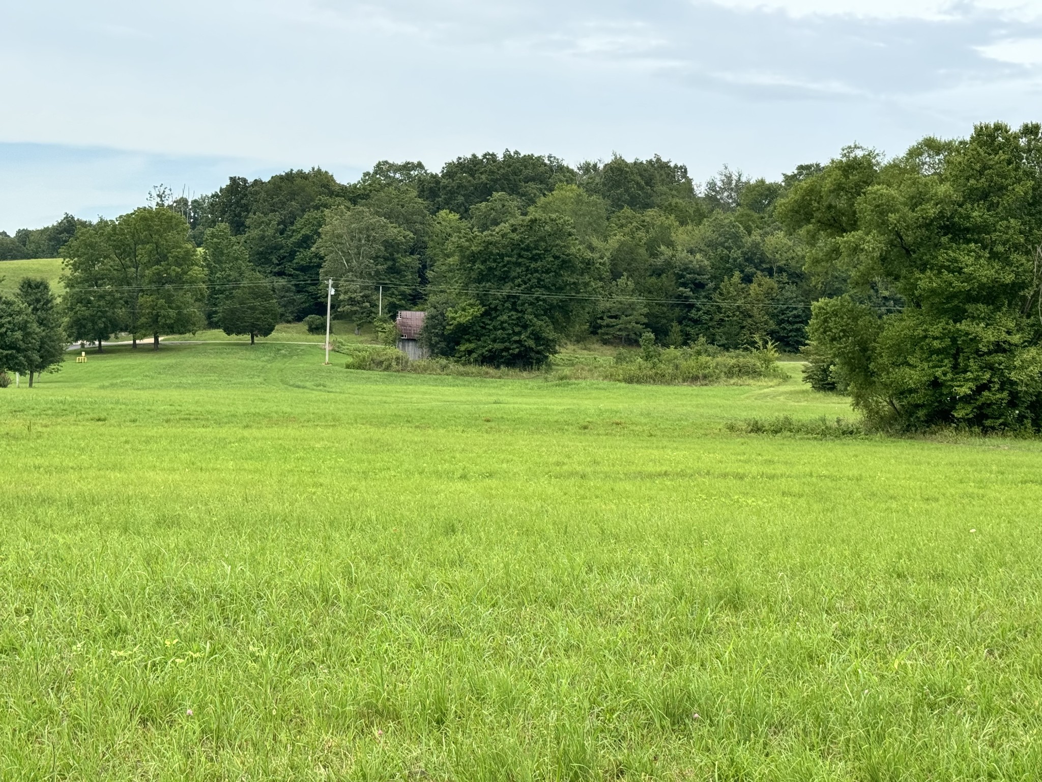 0 Walnut Grove Road Dickson TN 37055