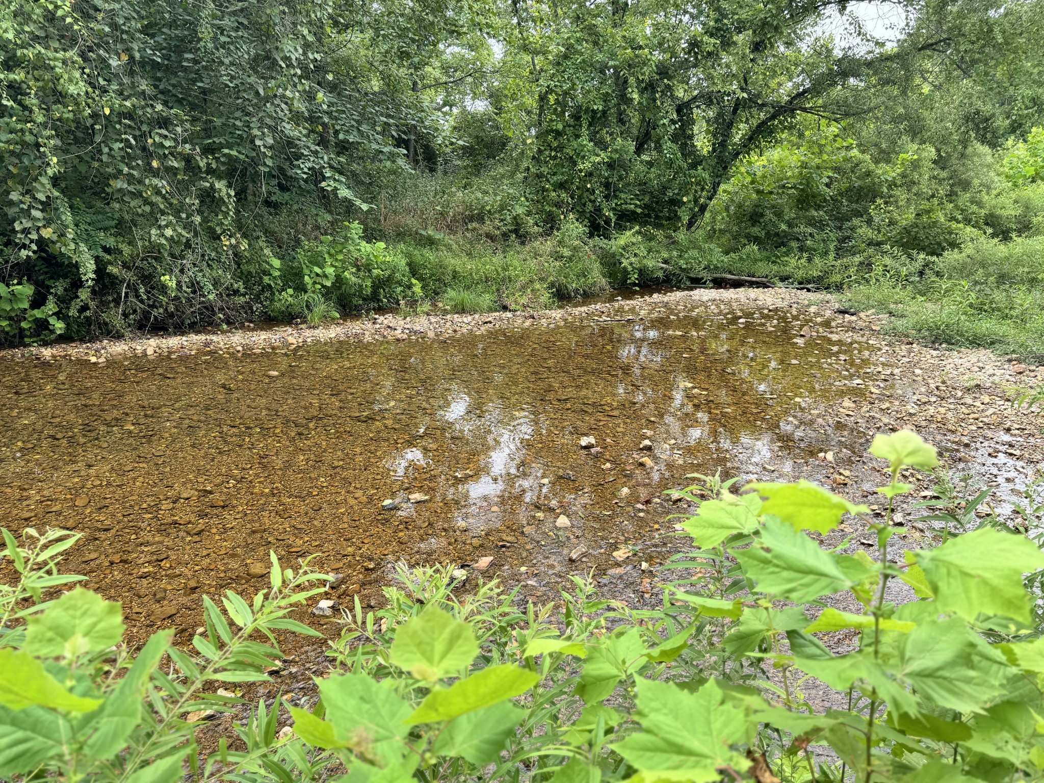 0 Walnut Grove Road Dickson TN 37055
