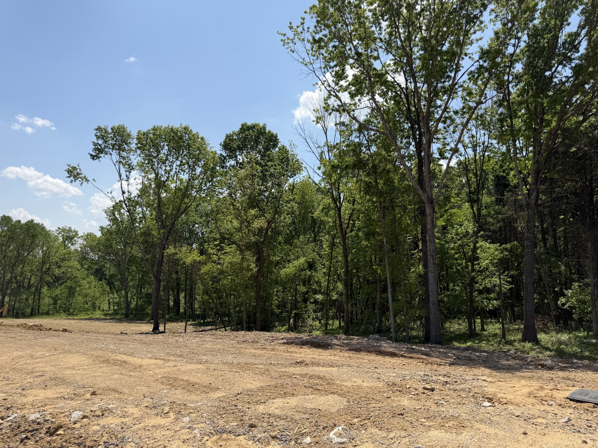 1501 St Charles Drive Arrington TN 37014