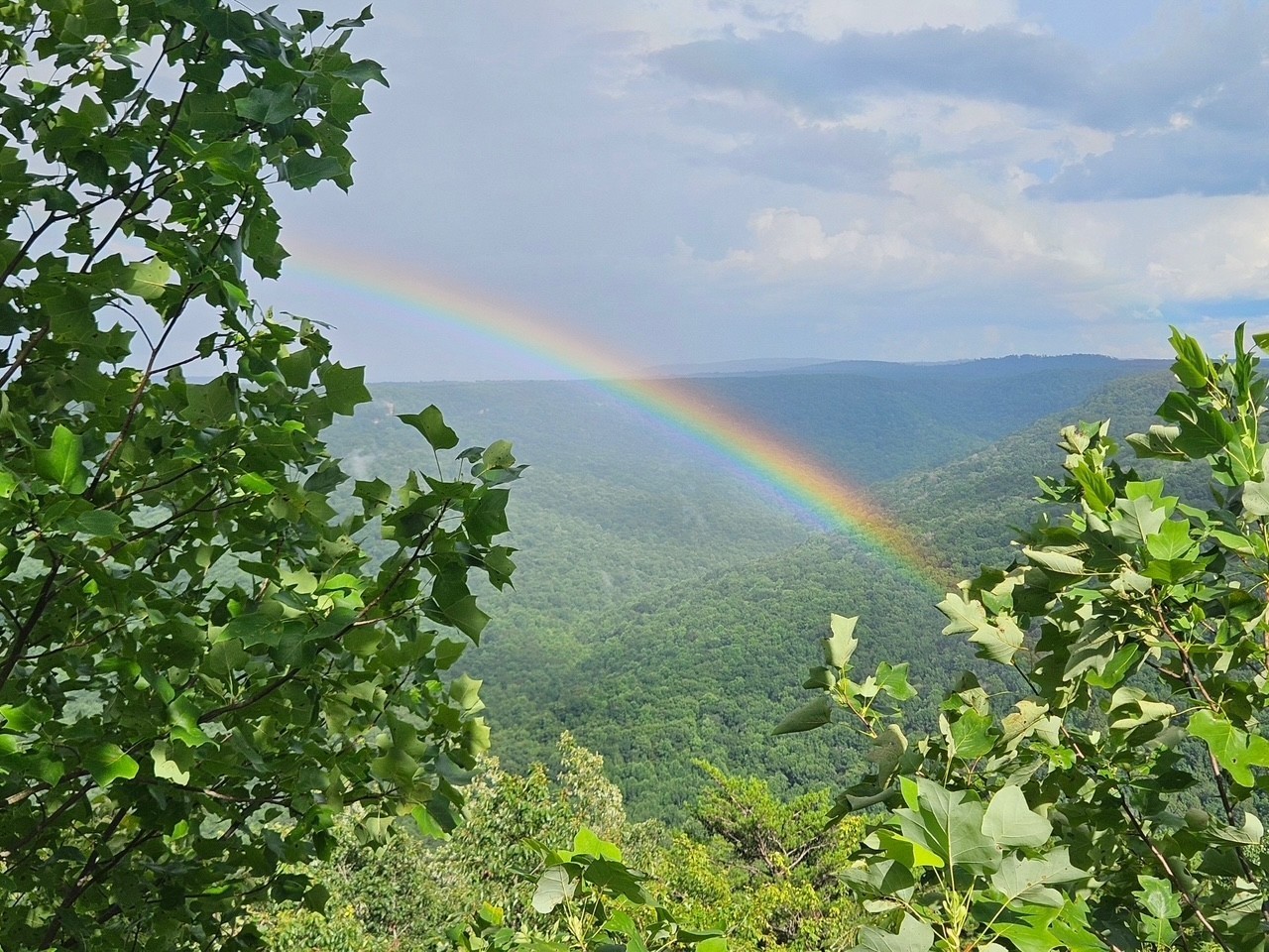0 Grassy Ridge Road Lot 3 Beersheba Springs TN 37305