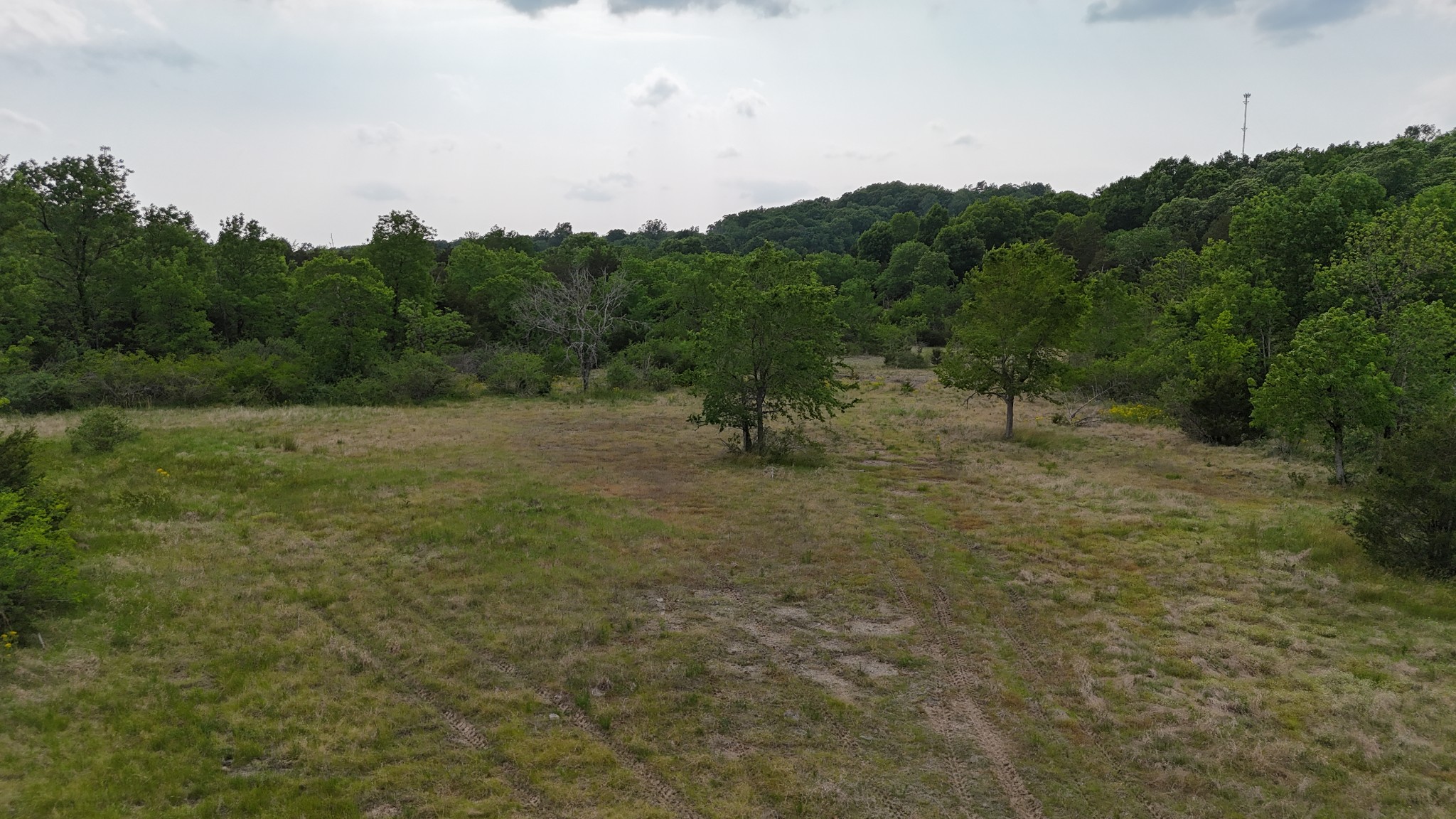 0 Luke Moser Road Columbia TN 38401