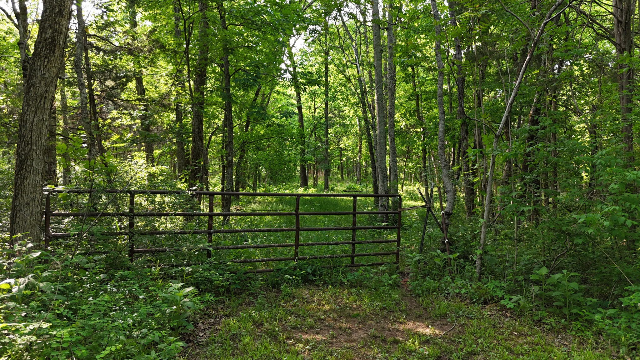 0 Luke Moser Road Columbia TN 38401