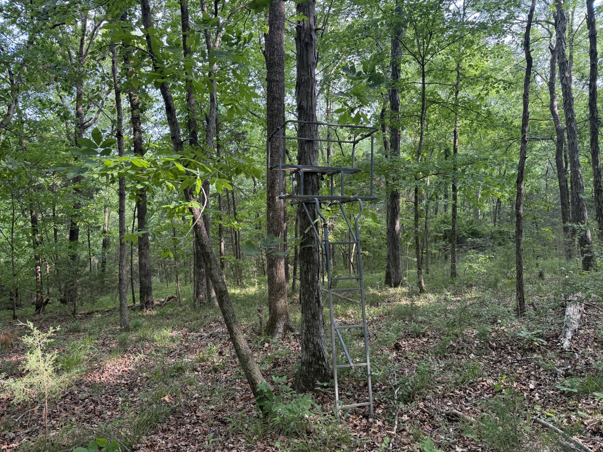 0 Luke Moser Road Columbia TN 38401