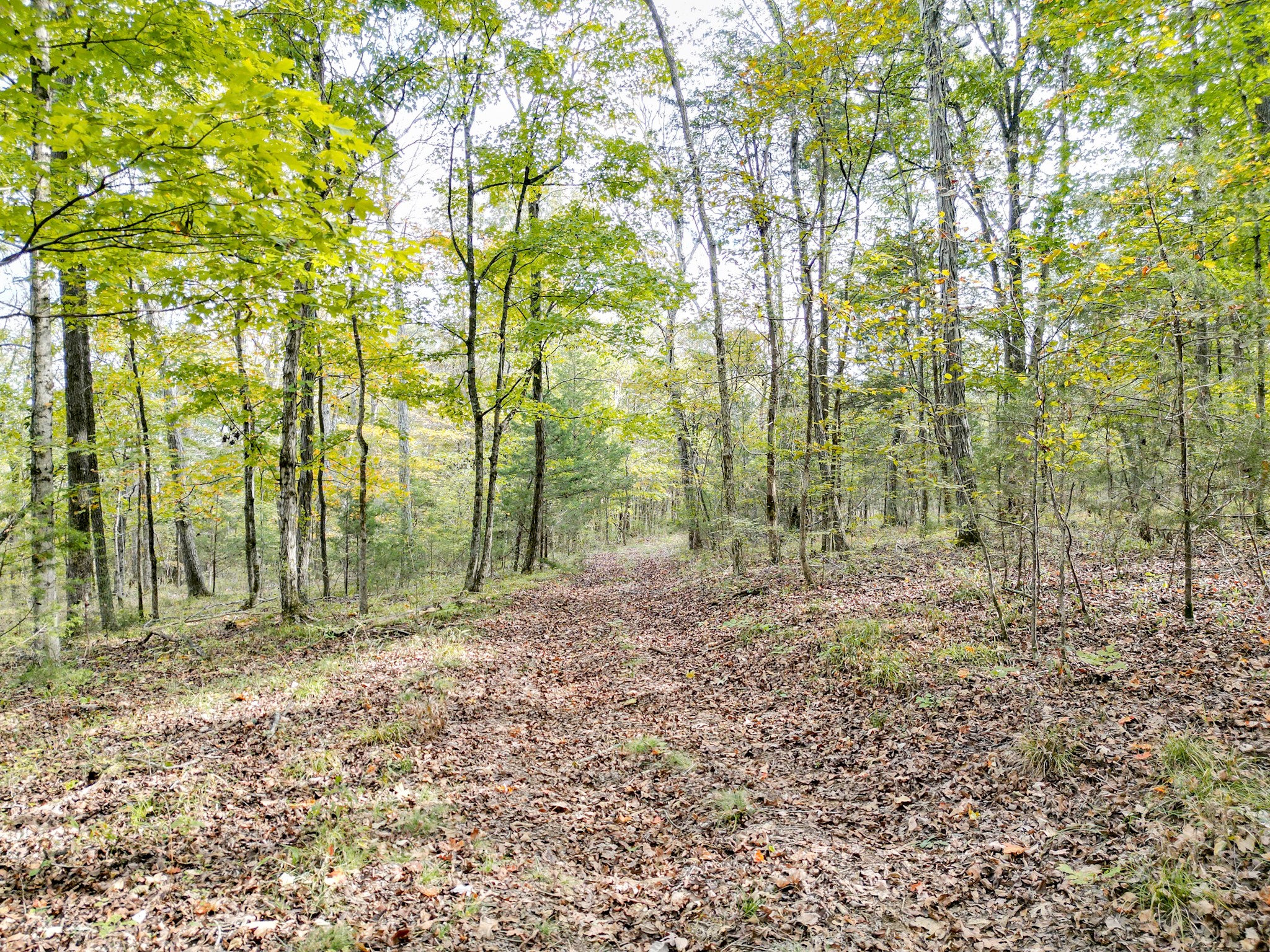 0 Luke Moser Road Columbia TN 38401