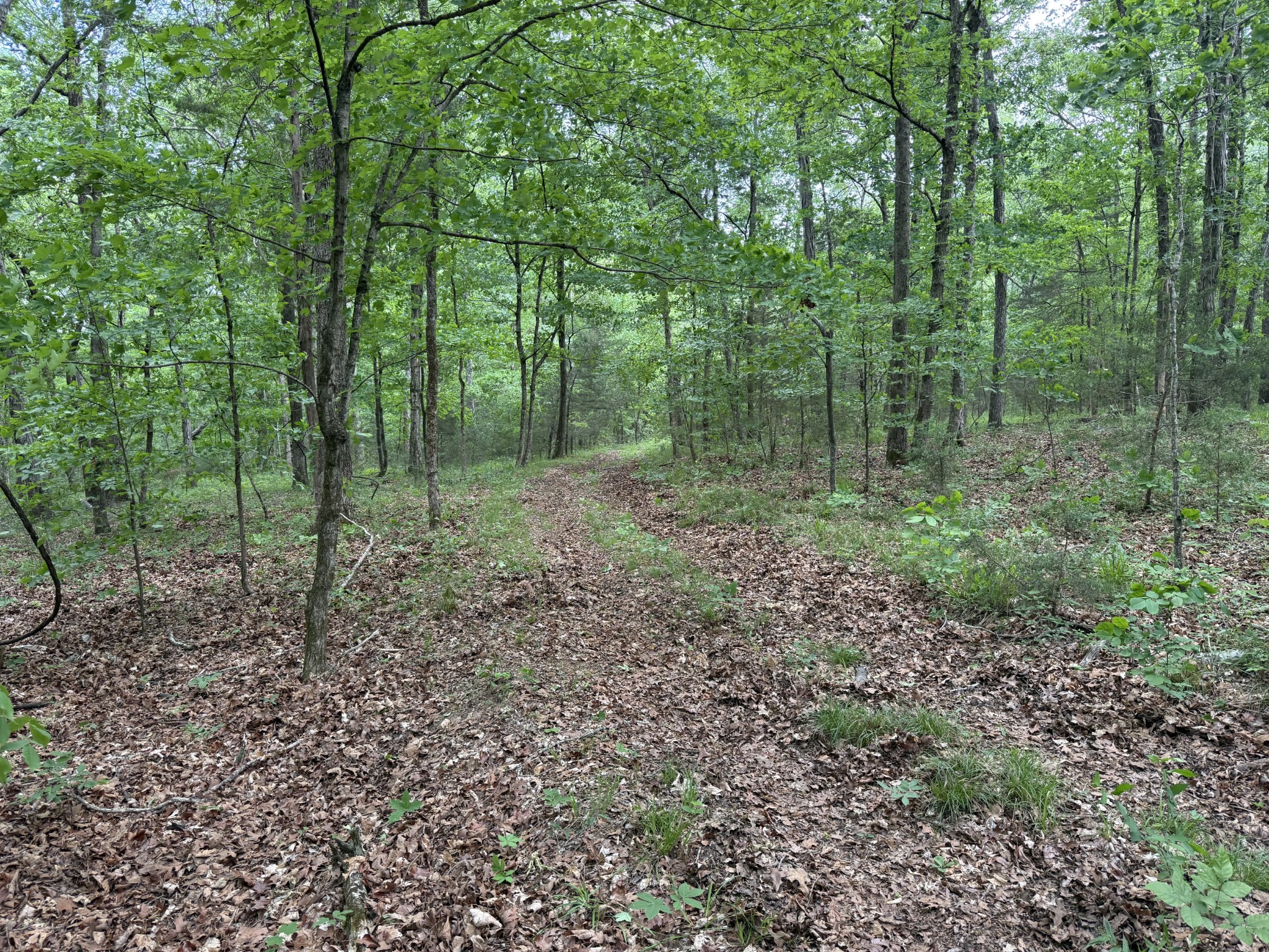 0 Luke Moser Road Columbia TN 38401