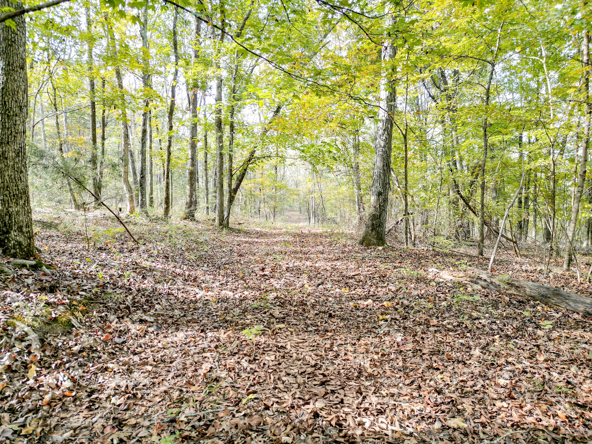 0 Luke Moser Road Columbia TN 38401