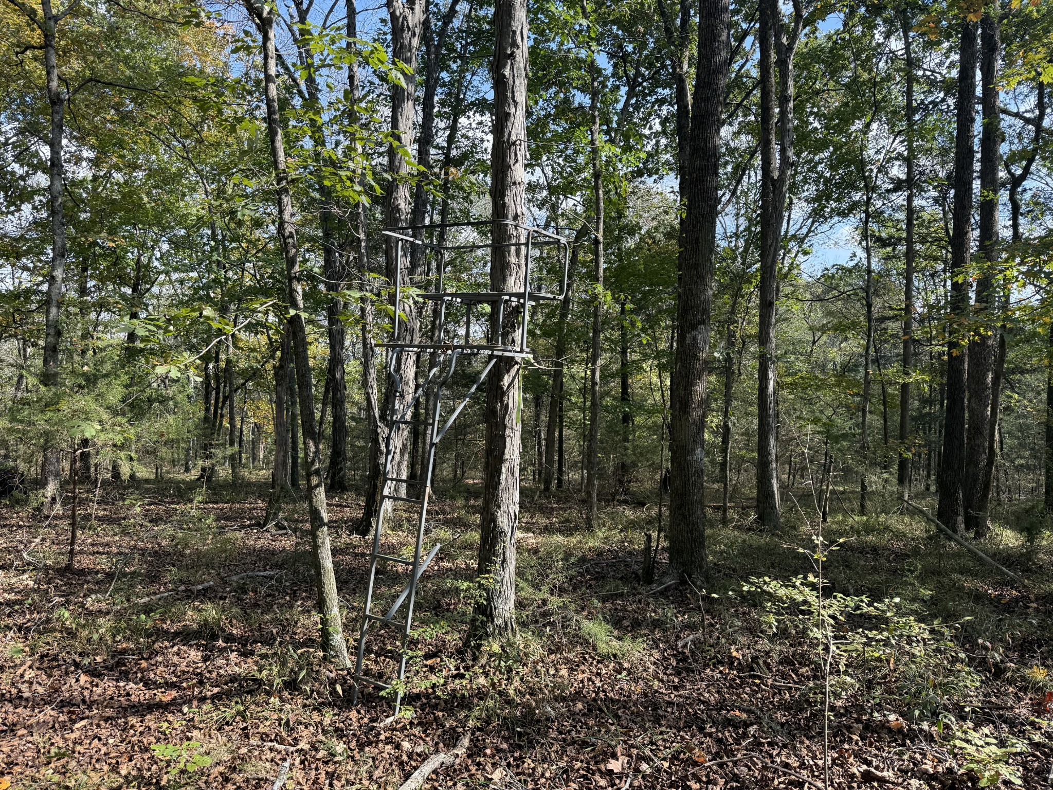 0 Luke Moser Road Columbia TN 38401