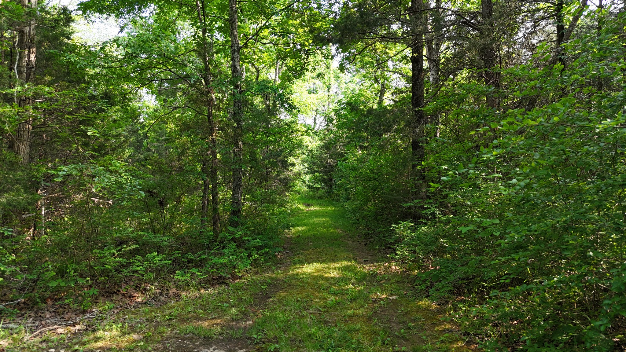0 Luke Moser Road Columbia TN 38401