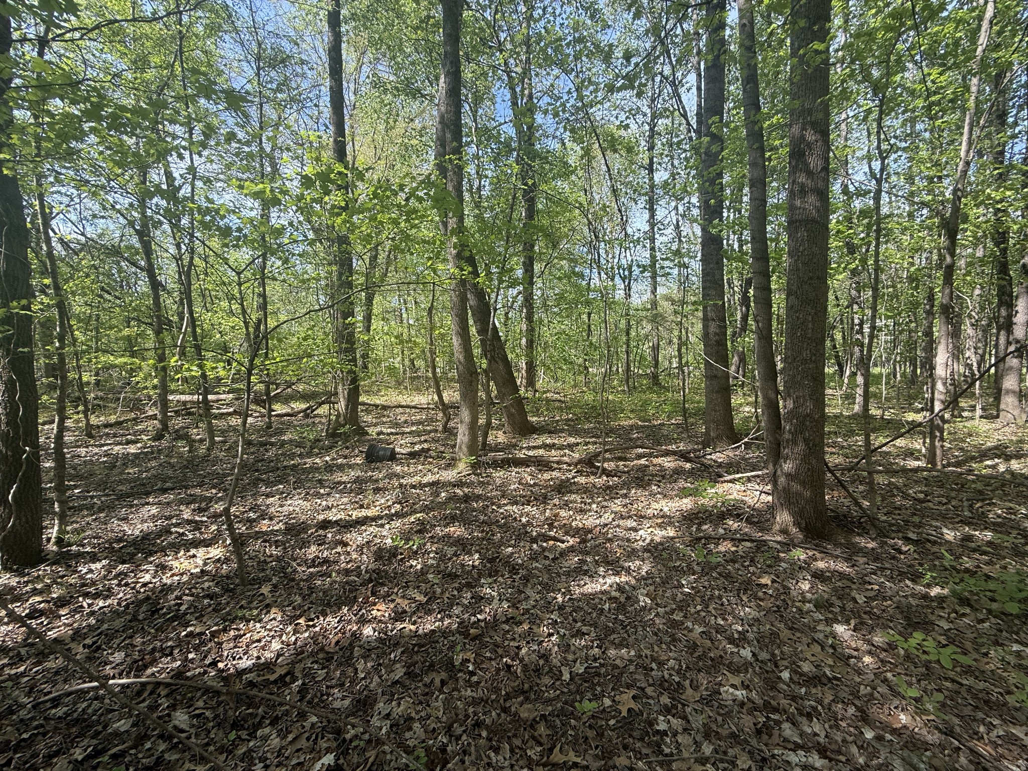 0 Dunbar Cave Road Clarksville TN 37043