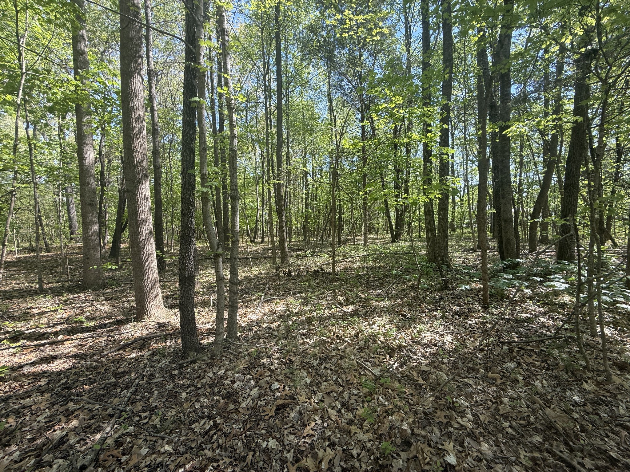 0 Dunbar Cave Road Clarksville TN 37043