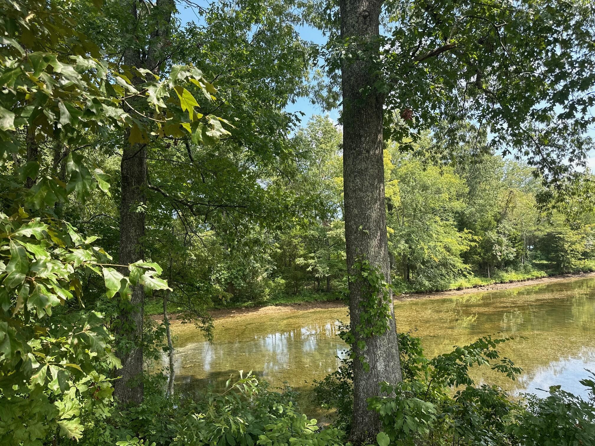 0 Edgewater Way Jasper TN 37347